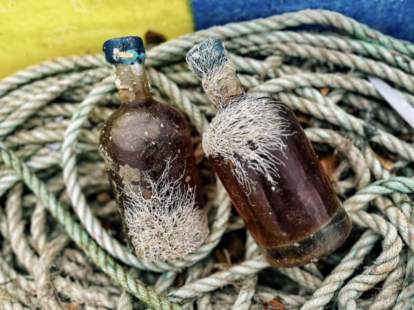 Immersion 2025 – Rhum immergé – Coffret dégustation comparative