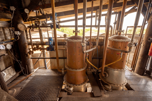 Bielle X Armateurs de Rhum – Transatlantique – L’ambré