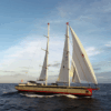 Grain de Sail X Armateurs de Rhum – Transatlantique