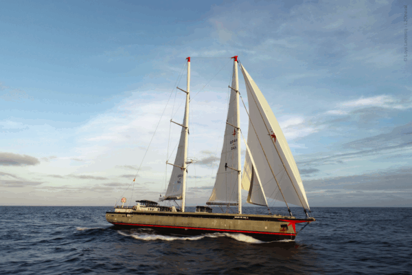 Grain de Sail X Armateurs de Rhum – Transatlantique