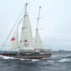 Grain de Sail X Armateurs de Rhum – Transatlantique