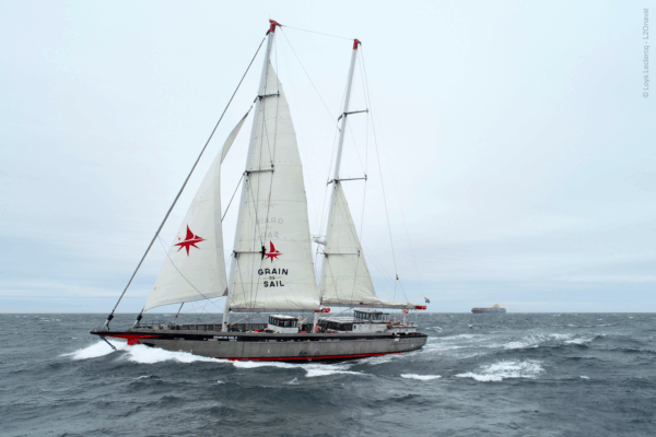 Grain de Sail X Armateurs de Rhum – Transatlantique