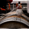 Bologne X Armateurs de Rhum X Grain de Sail - Rhum transporté à la voile